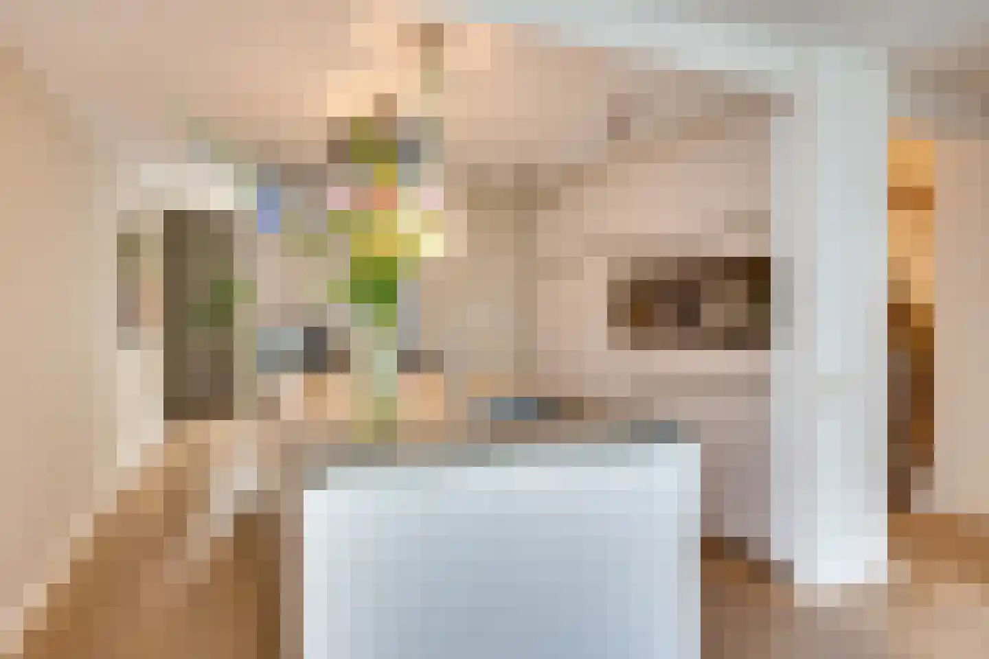 Leuvenlaan 17 Eindhoven thumbnail 15