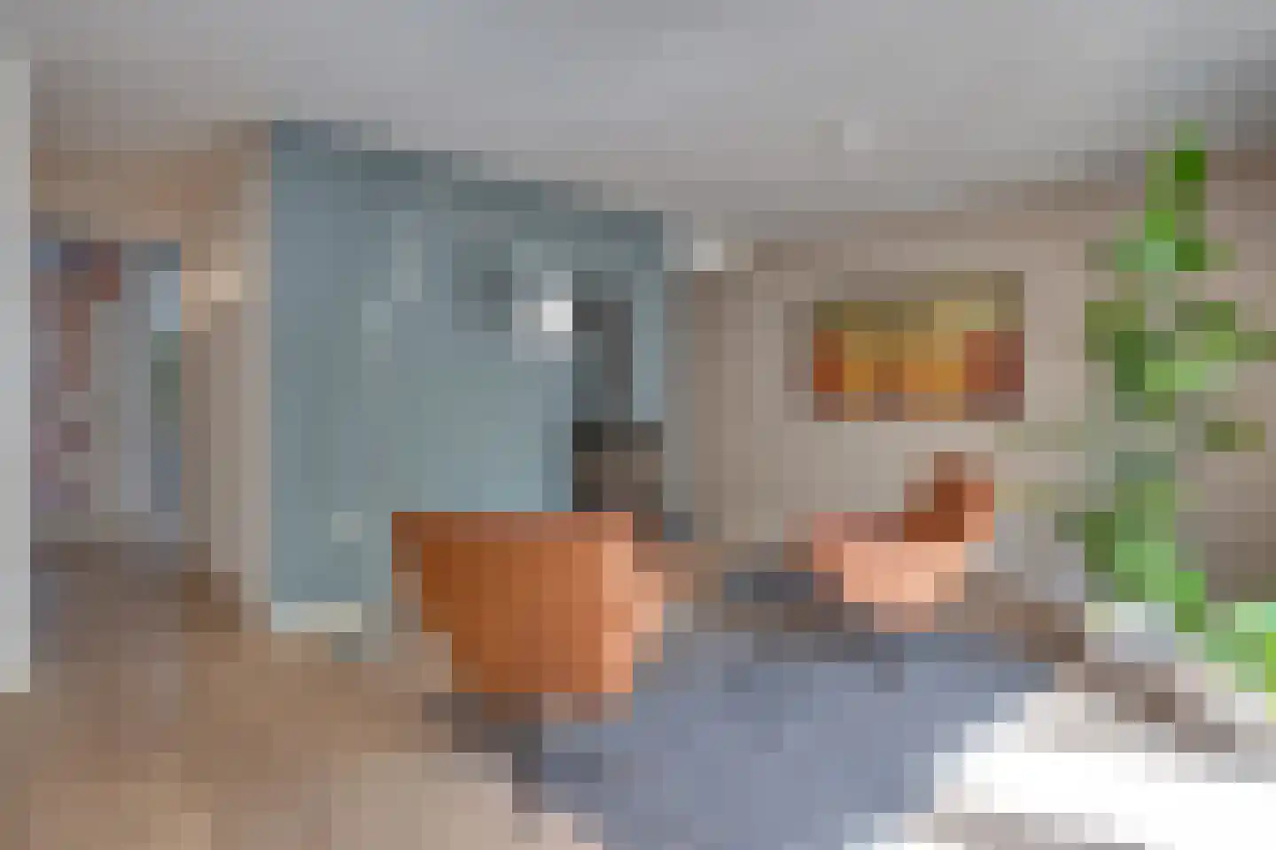 Leuvenlaan 17 Eindhoven thumbnail 19