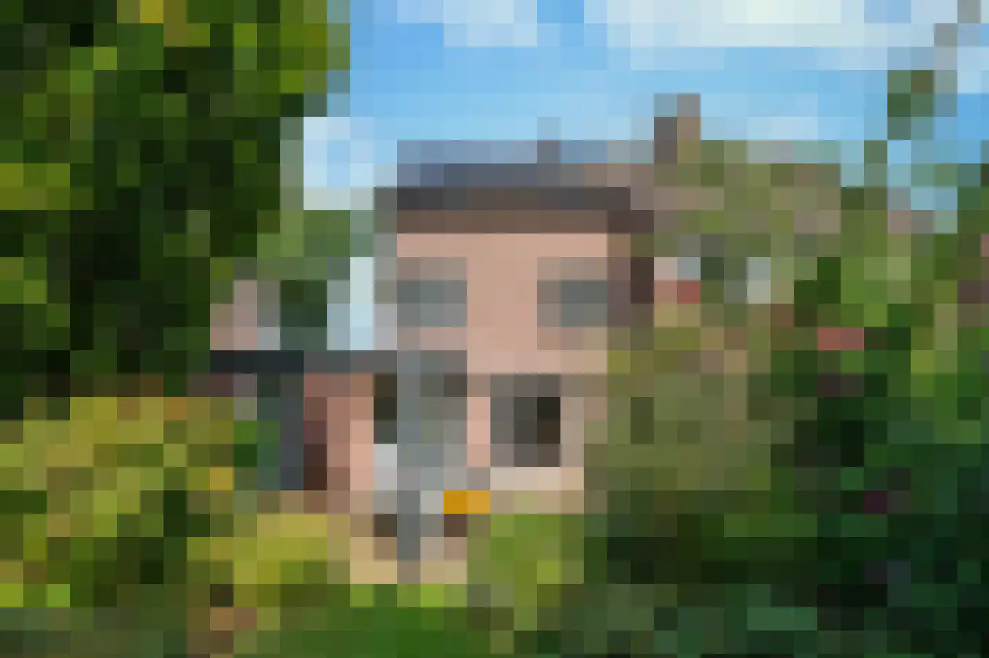 Leuvenlaan 17 Eindhoven thumbnail 42