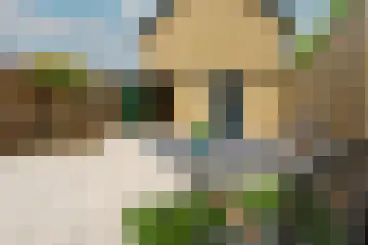 Leuvenlaan 2 Eindhoven thumbnail 23