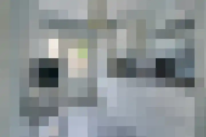 Leuvenlaan 2 Eindhoven thumbnail 8