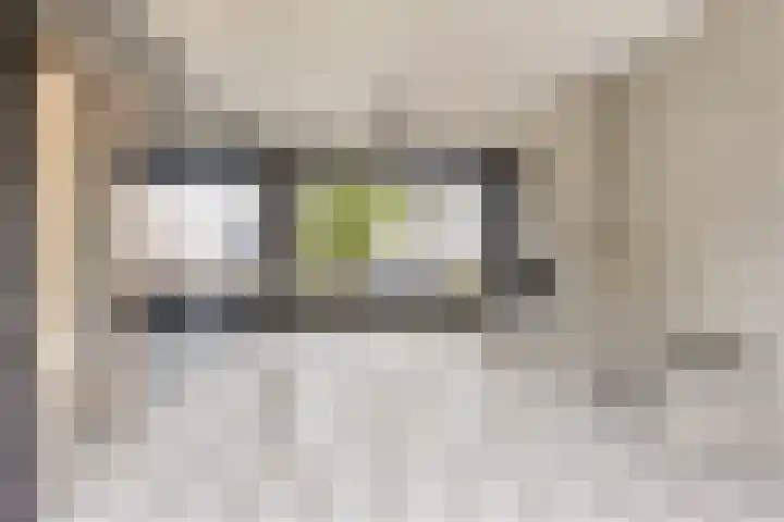 Leuvenlaan 26 Eindhoven thumbnail 10