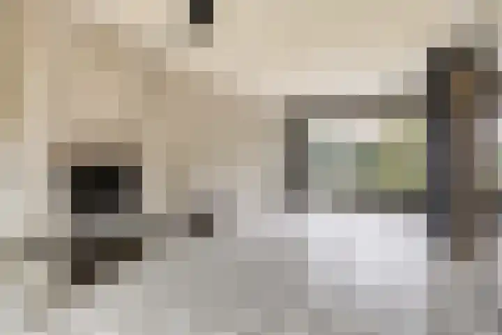 Leuvenlaan 26 Eindhoven thumbnail 13