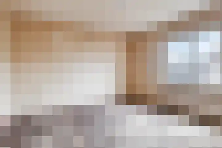 Leuvenlaan 26 Eindhoven thumbnail 16