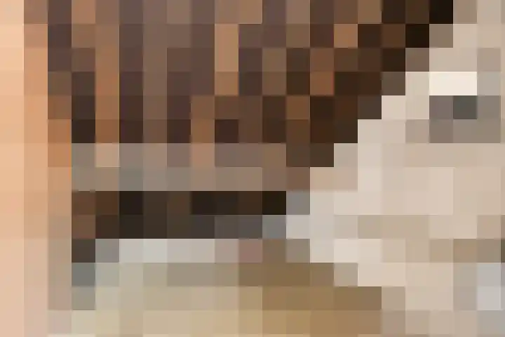 Leuvenlaan 26 Eindhoven thumbnail 23
