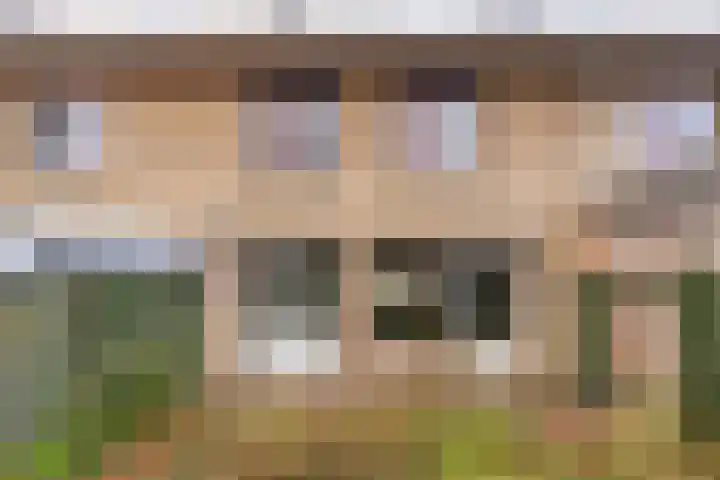 Leuvenlaan 26 Eindhoven thumbnail 28