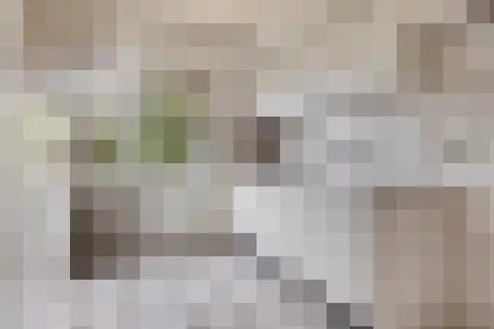 Leuvenlaan 26 Eindhoven thumbnail 7