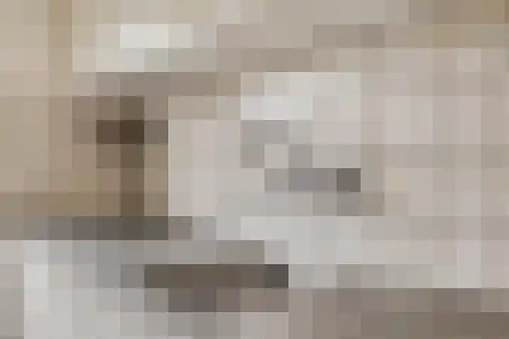 Leuvenlaan 26 Eindhoven thumbnail 9
