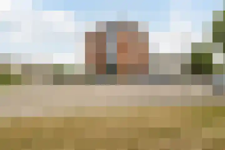 Leuvensbroek 1107 Nijmegen thumbnail 34