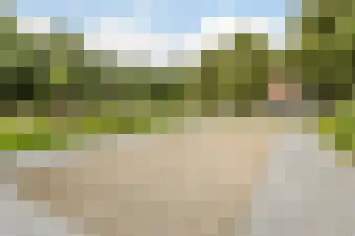 Leuvensbroek 1107 Nijmegen thumbnail 36