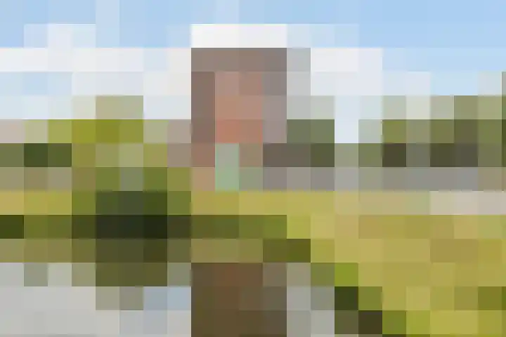Leuvensbroek 1107 Nijmegen thumbnail 38