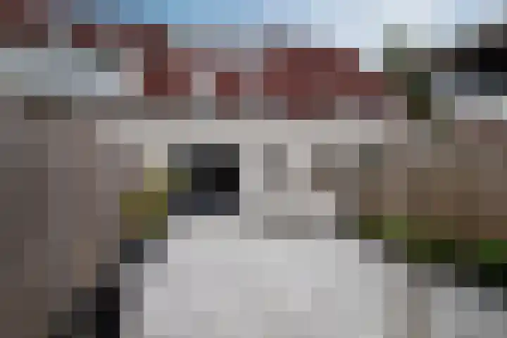 Leuvensbroek 1203 Nijmegen thumbnail 23