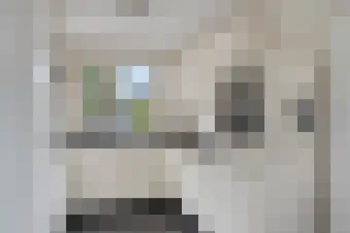 Leuvensbroek 1235 Nijmegen thumbnail 17