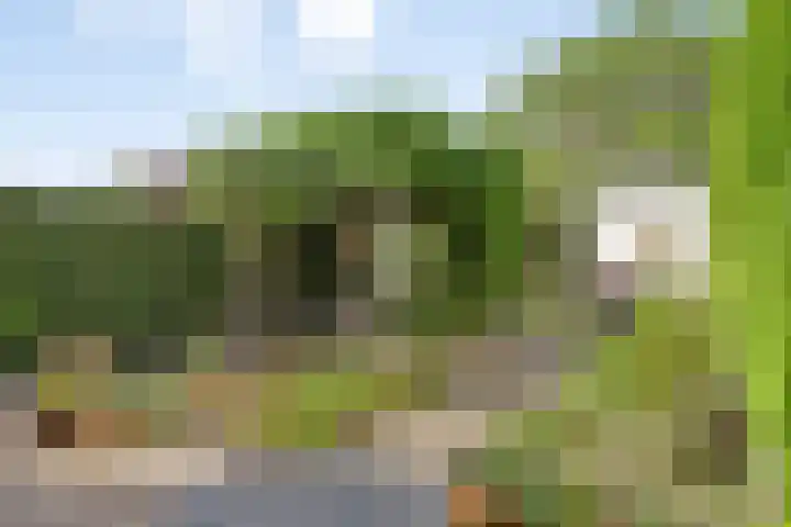 Leuvensbroek 1235 Nijmegen thumbnail 33