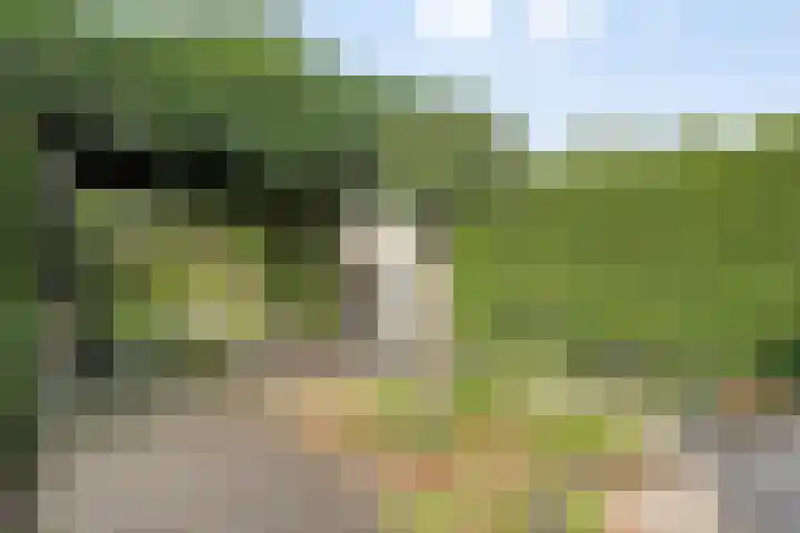 Leuvensbroek 1235 Nijmegen thumbnail 34