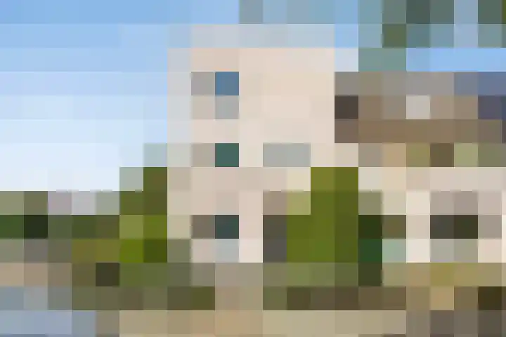 Leuvensbroek 1235 Nijmegen thumbnail 7