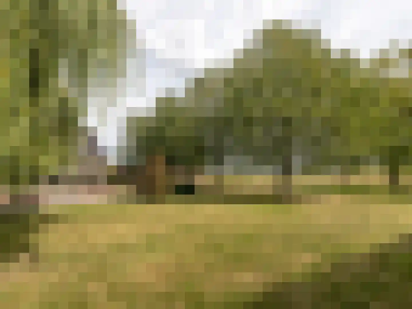 Leuvensedijk 1 Groessen thumbnail 40