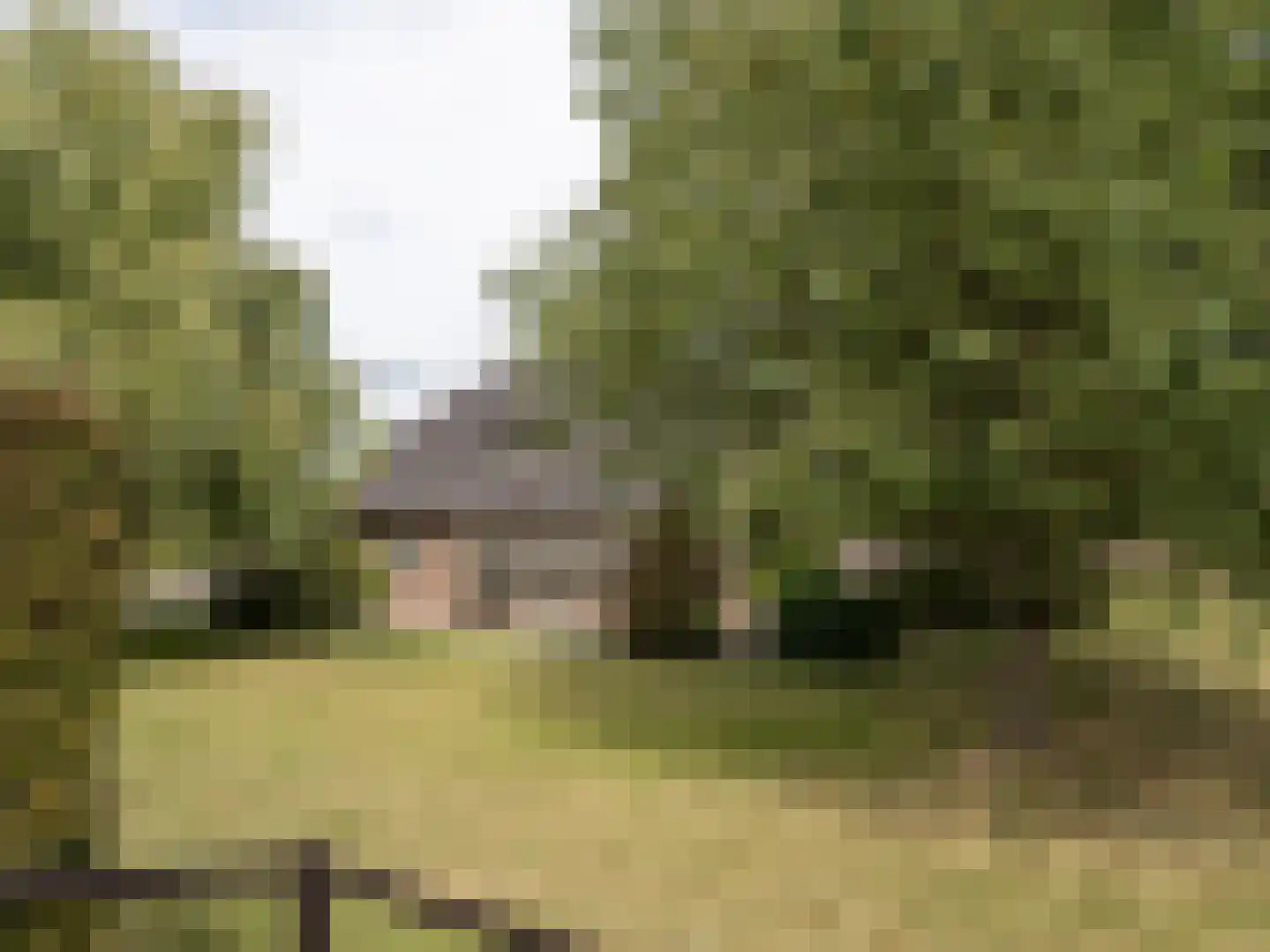 Leuvensedijk 1 Groessen thumbnail 41