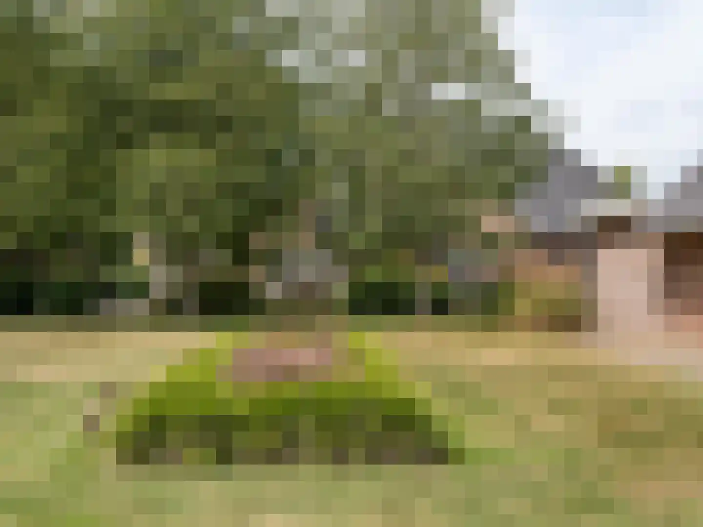 Leuvensedijk 1 Groessen thumbnail 43