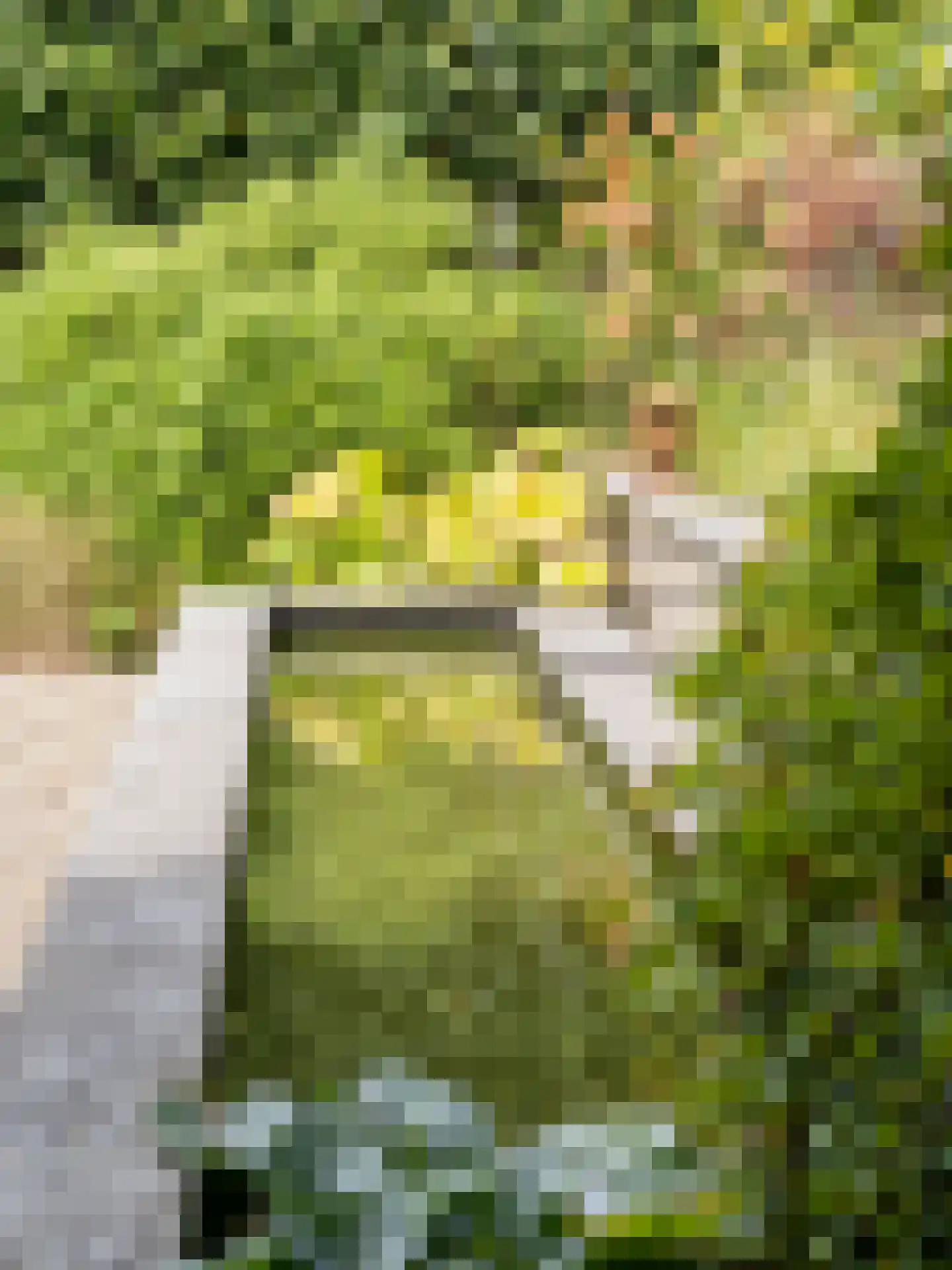 Leuvensedijk 1 Groessen thumbnail 45
