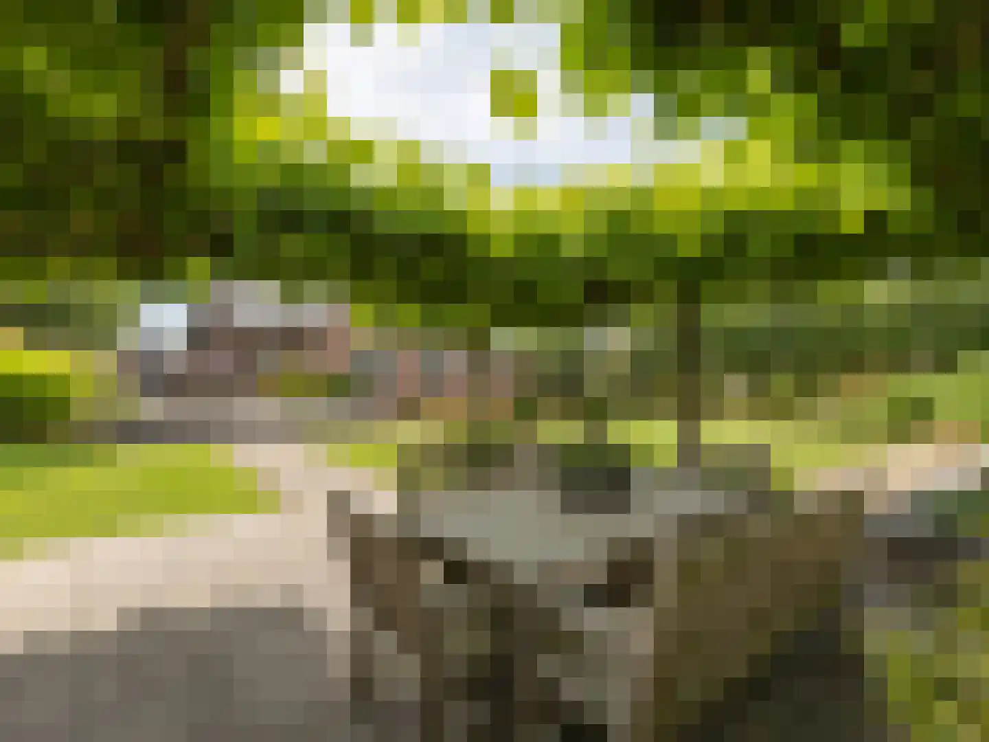 Leuvensedijk 1 Groessen thumbnail 47