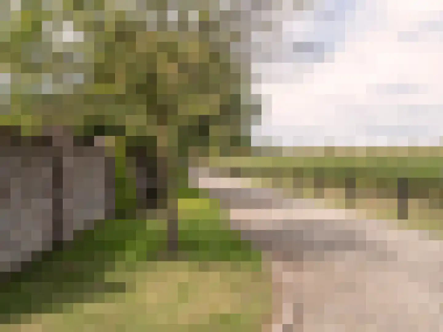 Leuvensedijk 1 Groessen thumbnail 57