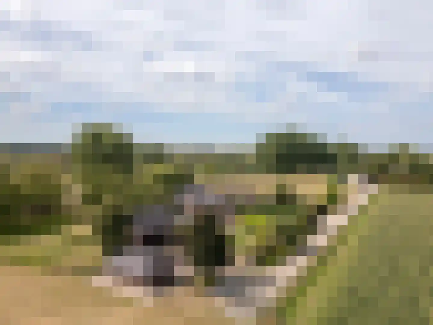 Leuvensedijk 1 Groessen thumbnail 61