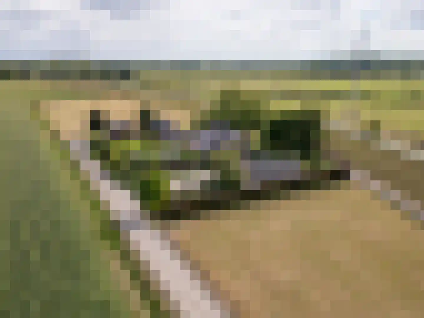 Leuvensedijk 1 Groessen thumbnail 63