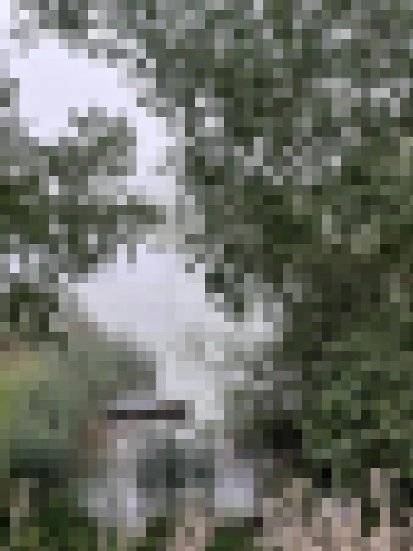 Leuvensedijk 1 Groessen thumbnail 66