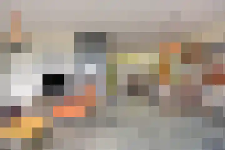 Leuvensestraat 10 Grave thumbnail 5