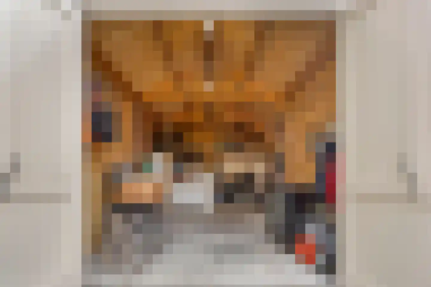 Leuvensestraat 15 Grave thumbnail 34