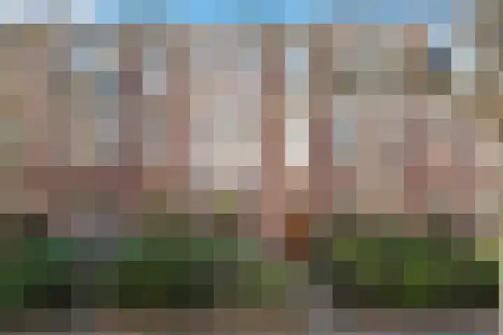 Leuvensestraat 61 in Den Haag