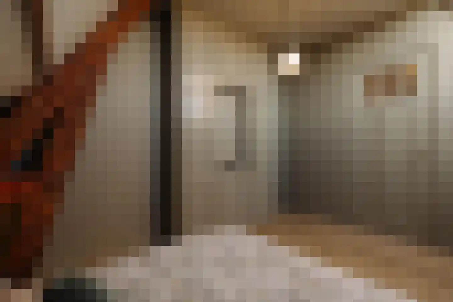 Leuvensestraat 85 D Den Haag thumbnail 12