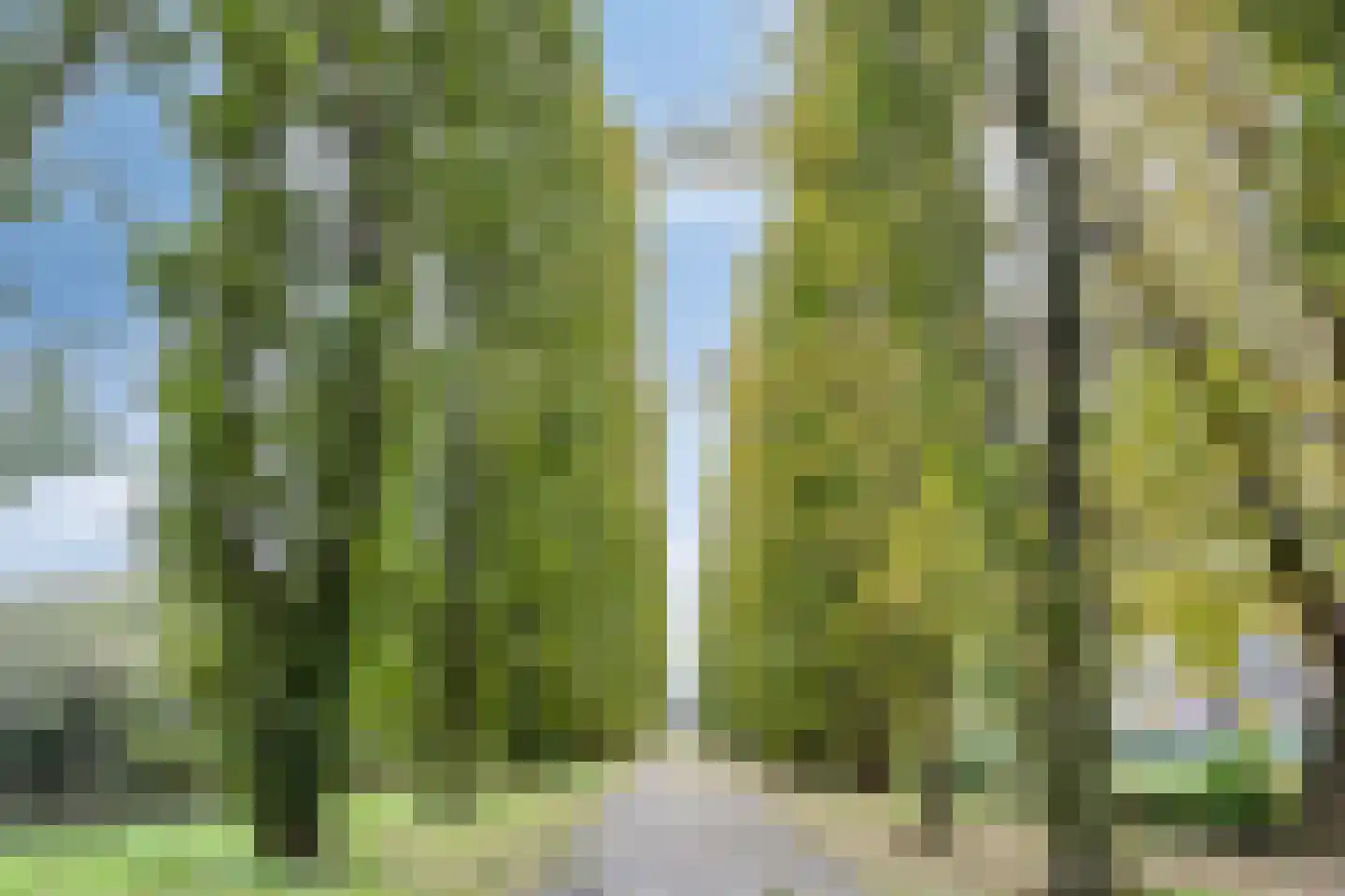 Leuvenstraat 3 's-Hertogenbosch thumbnail 26