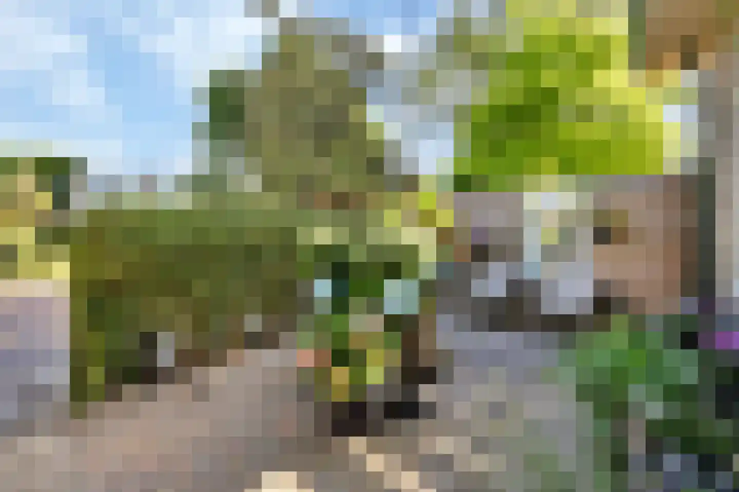 Leuvenstraat 4 Leiden thumbnail 7