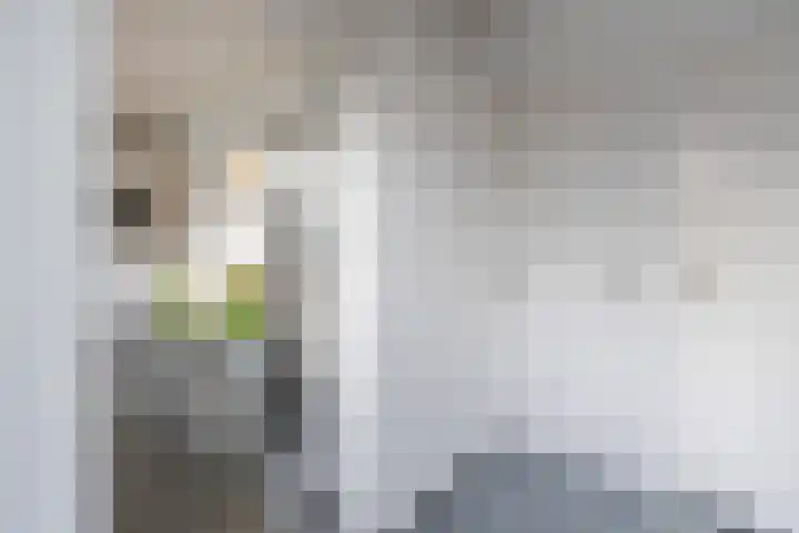 Leuvenstraat 5 Oosterhout thumbnail 35