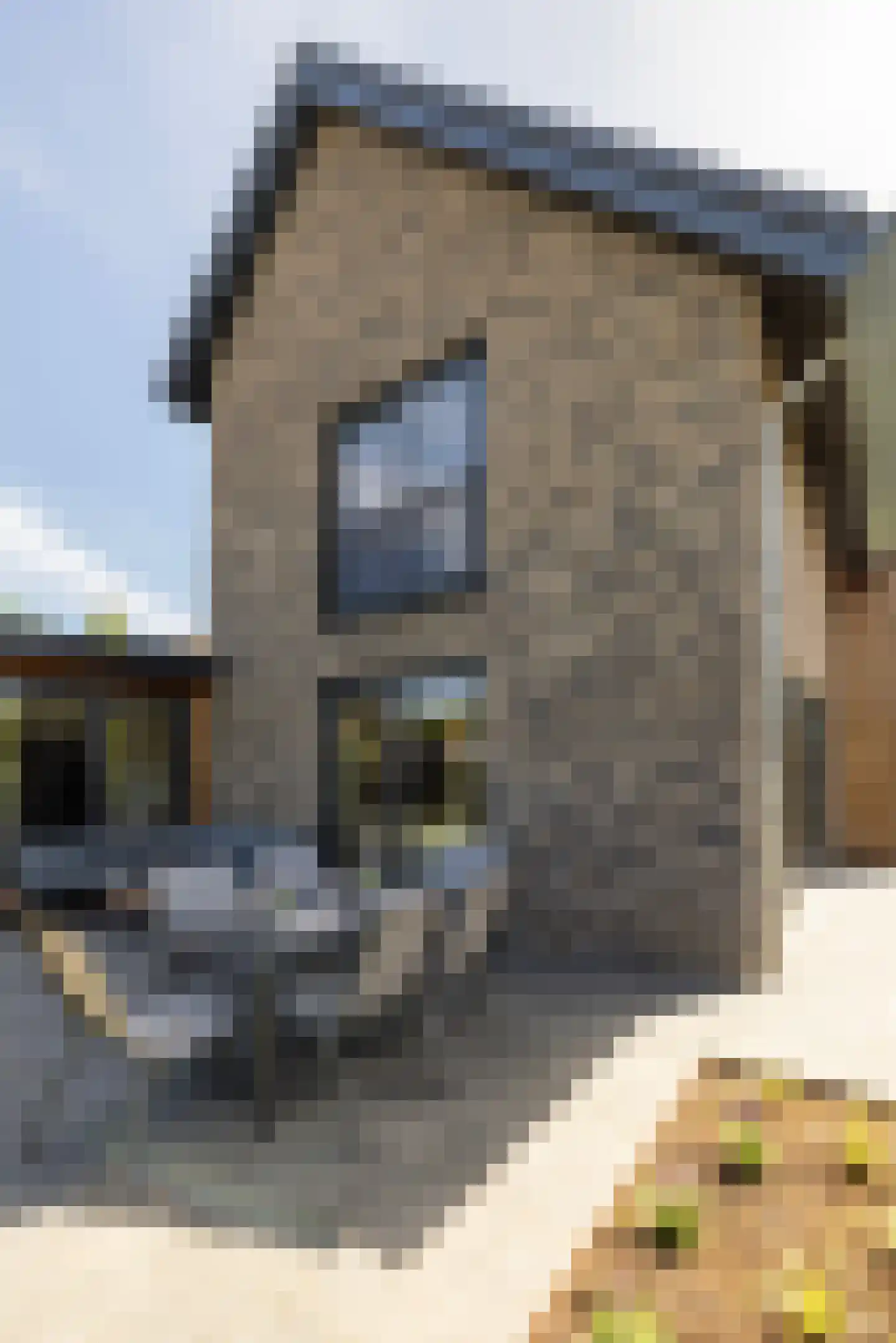 Leuvenumse beek 105 Biddinghuizen thumbnail 53
