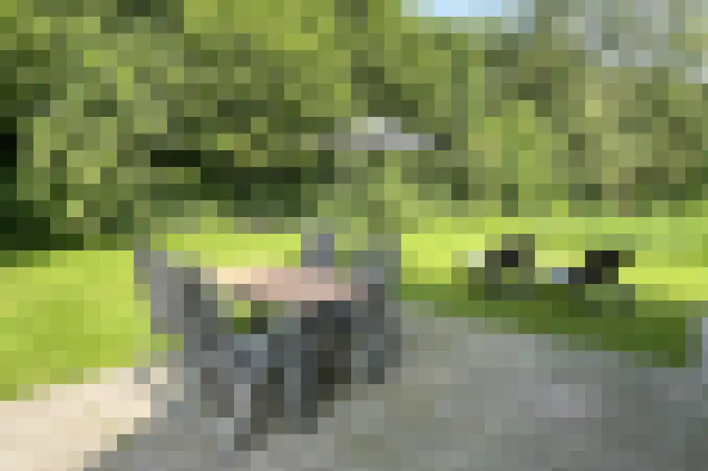 Leuvenumse beek 33 Biddinghuizen thumbnail 4