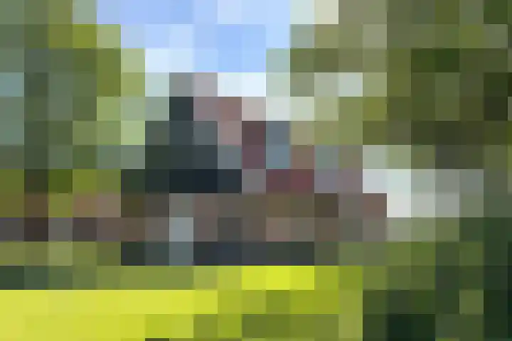 Leuvenumse beek 50 Biddinghuizen thumbnail 5