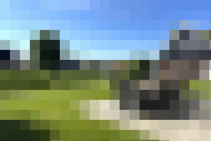 Leuvenumse beek 50 Biddinghuizen thumbnail 6