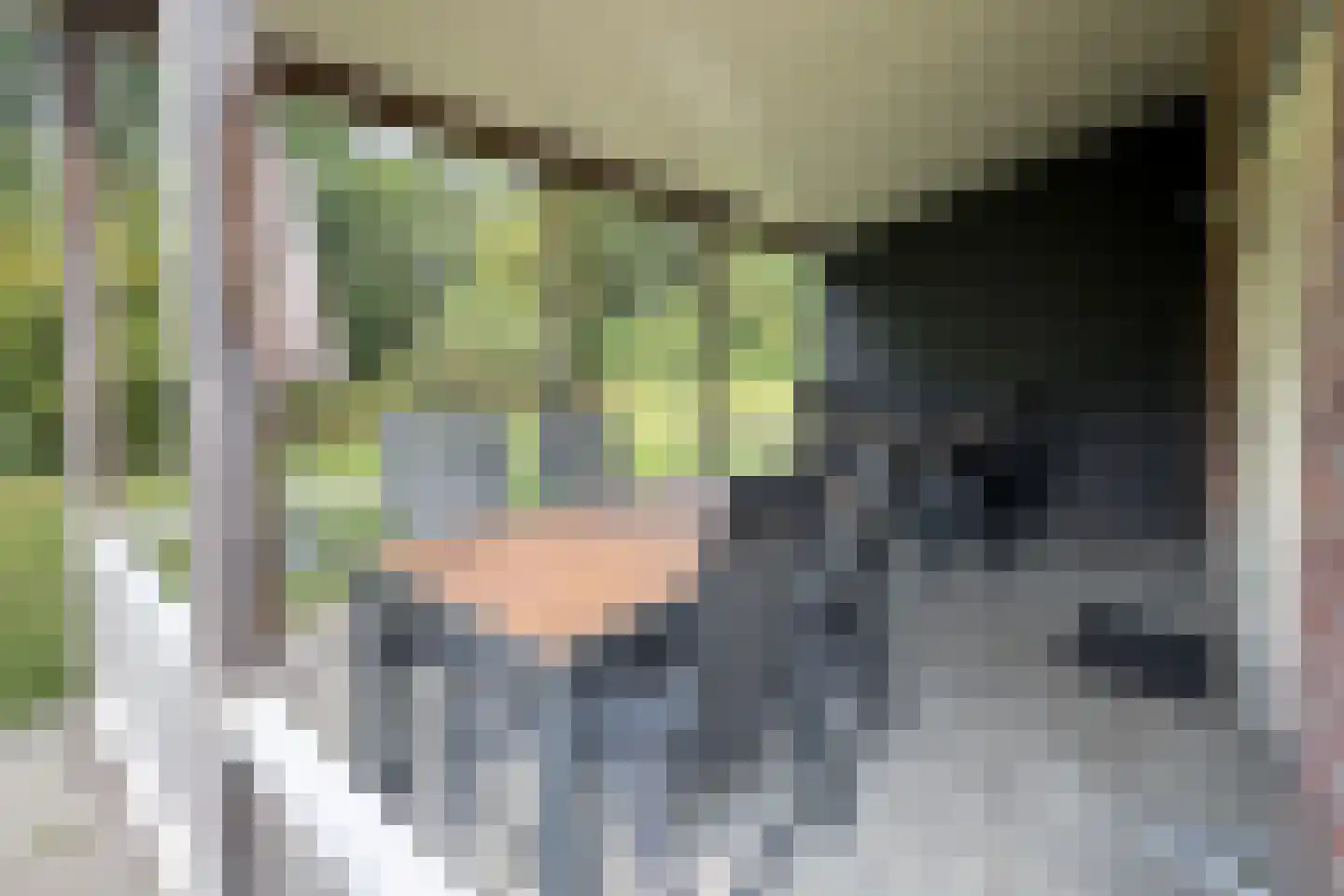Leuvenumse beek 9 Biddinghuizen thumbnail 4