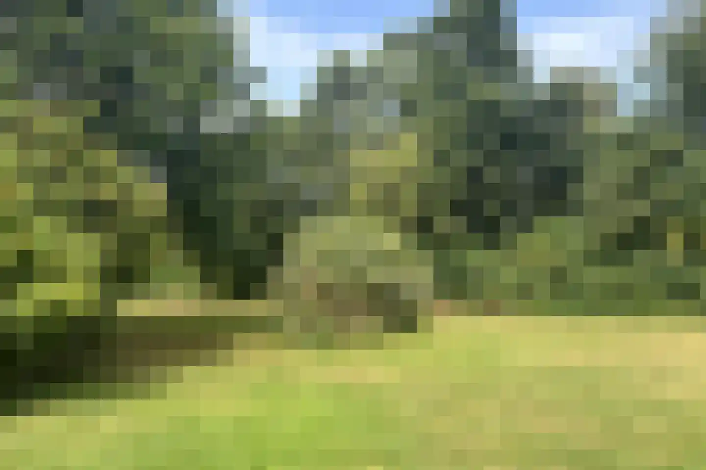 Leuvenumse beek 9 Biddinghuizen thumbnail 5
