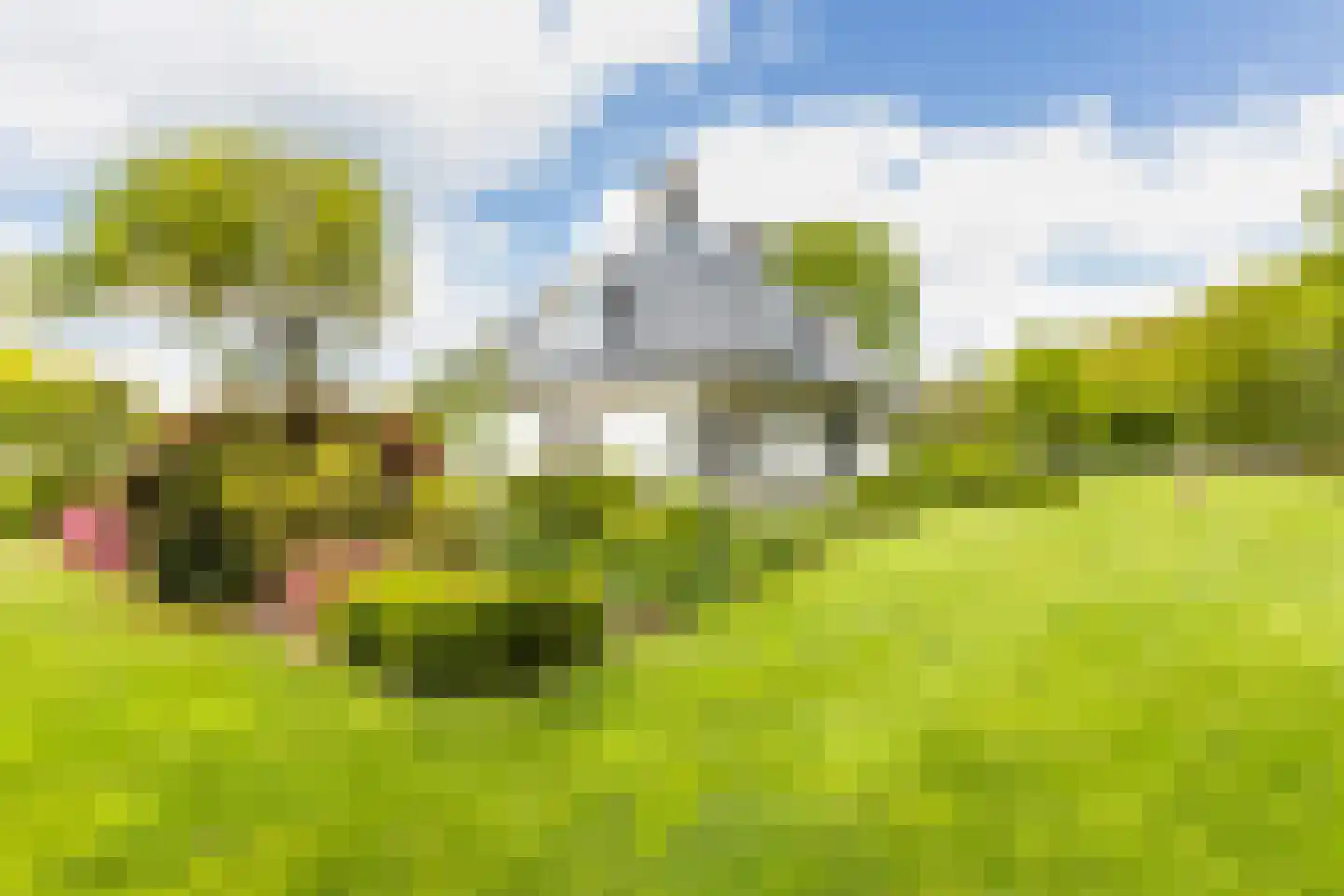 Leuvenumseveld 39 Ermelo thumbnail 34