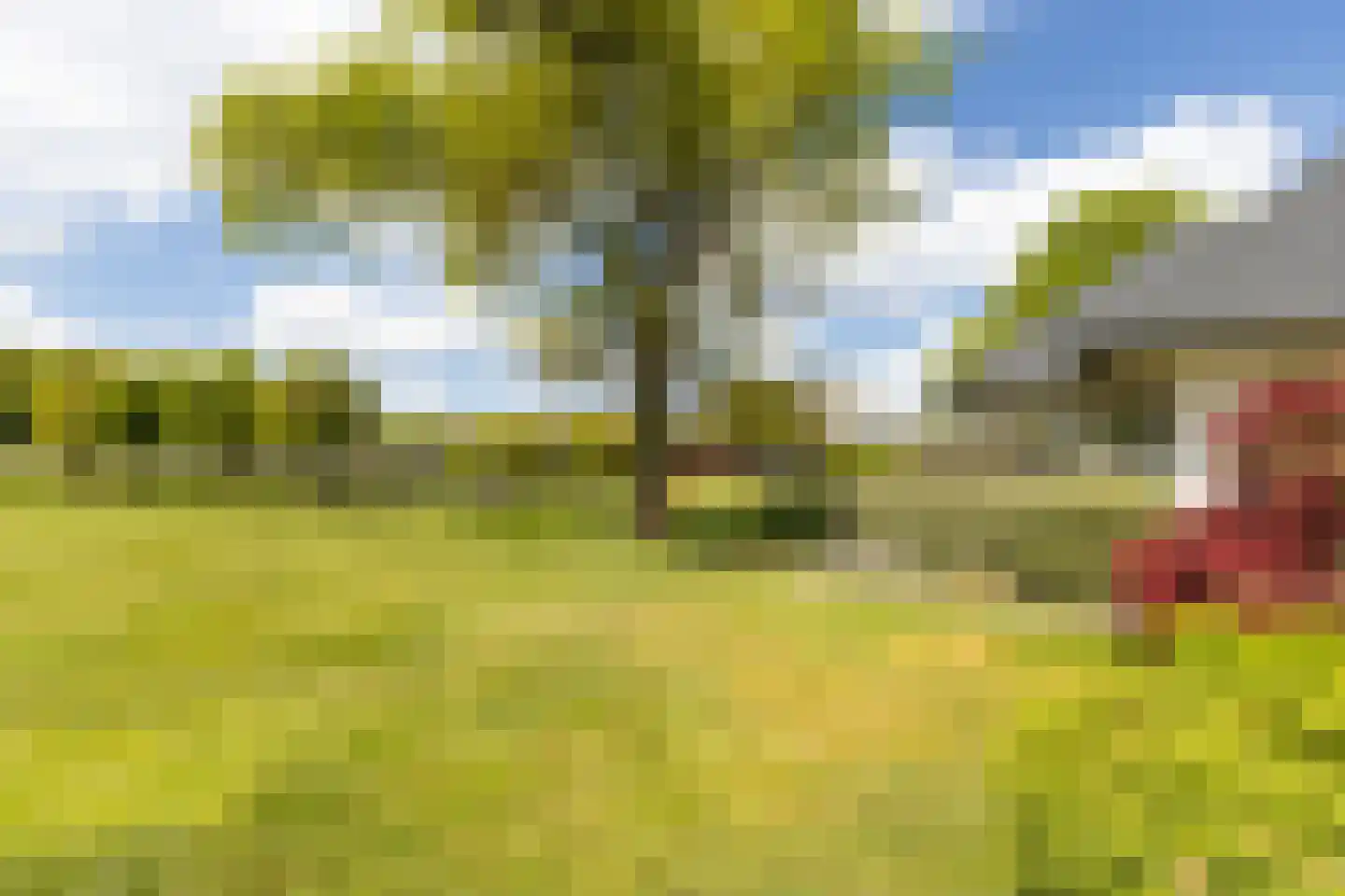 Leuvenumseveld 39 Ermelo thumbnail 43