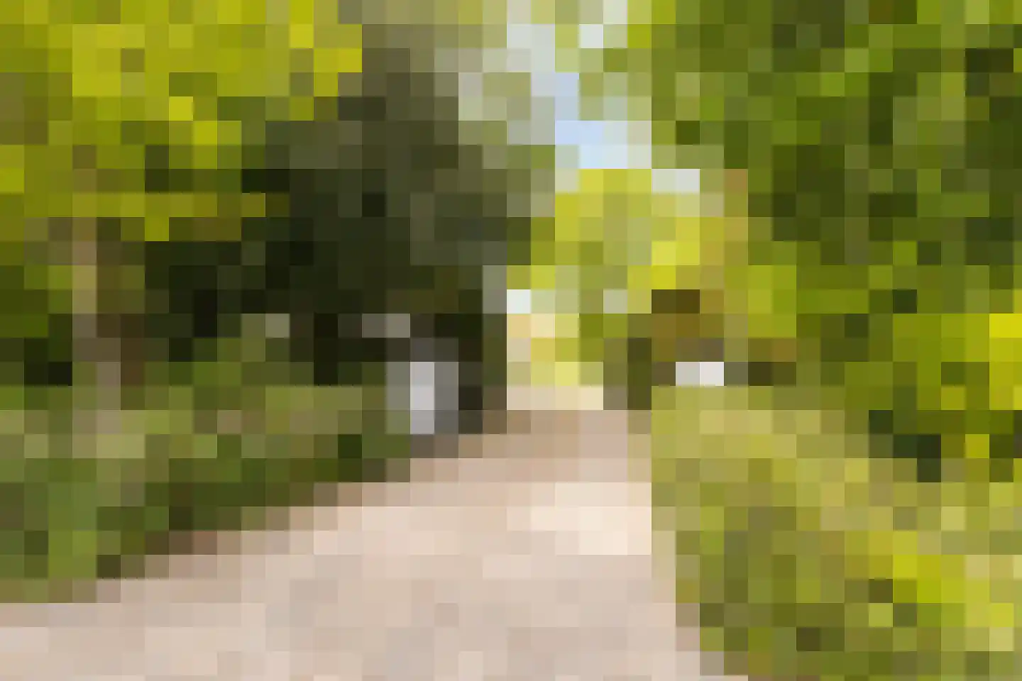 Leuvenumseveld 39 Ermelo thumbnail 67
