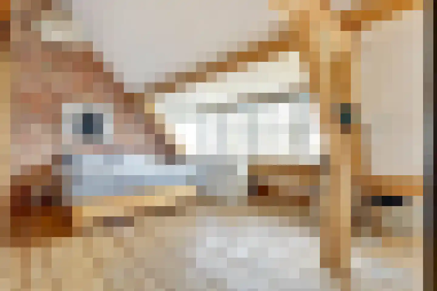 Leuvenumseveld 50 Ermelo thumbnail 32
