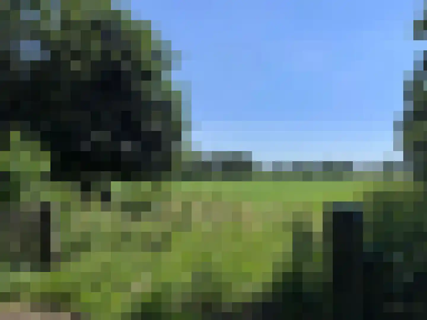 Leuvenumseveld 50 Ermelo thumbnail 63