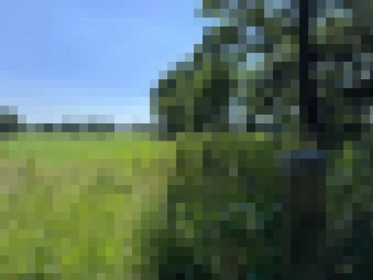 Leuvenumseveld 50 Ermelo thumbnail 64