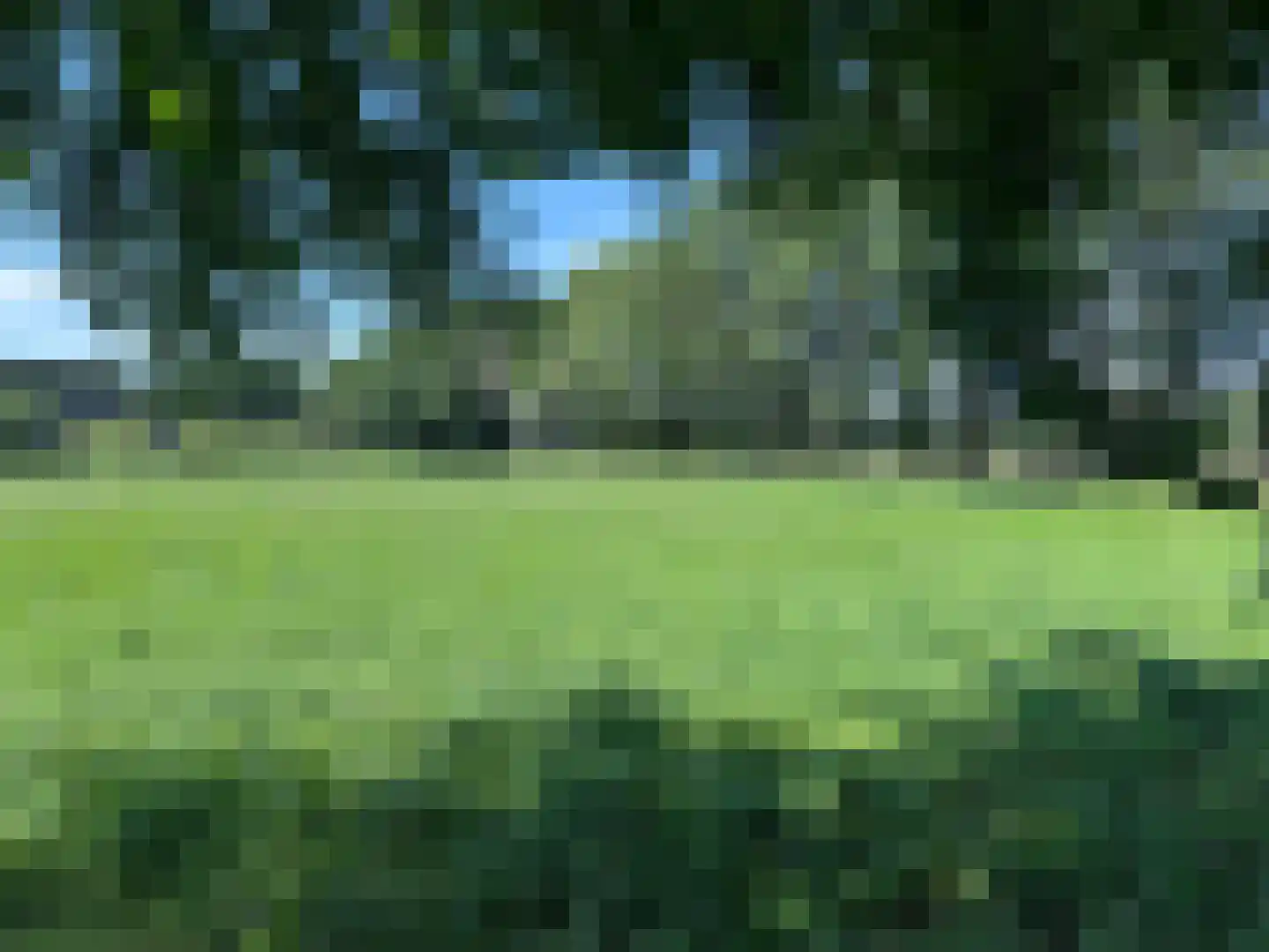 Leuvenumseveld 50 Ermelo thumbnail 65