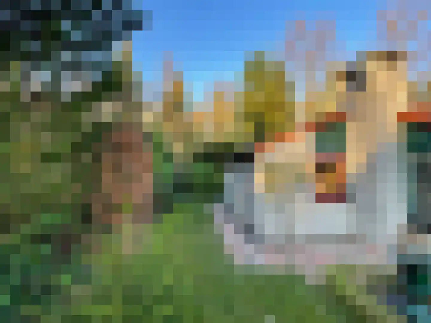 Leuvenumseweg 120 302 Ermelo thumbnail 19